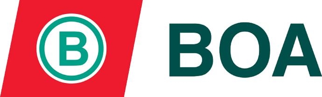 BOA Logo Plain
